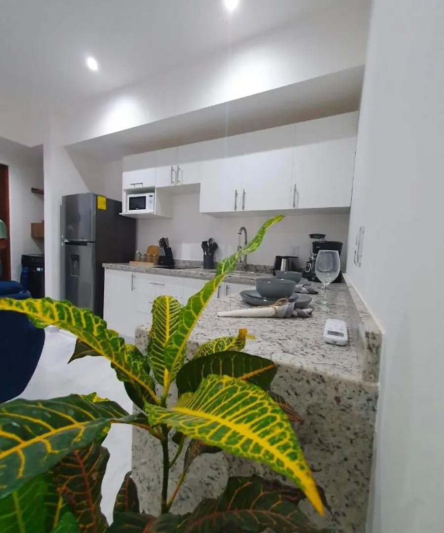 Condominios Sur 307 Playa del Carmen
